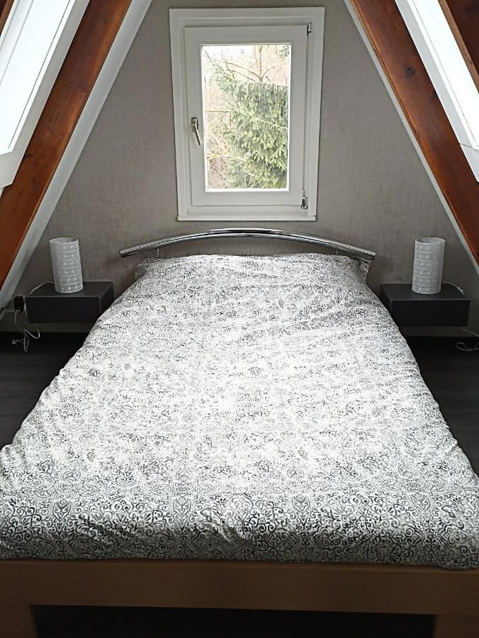 Bungalow Sud-Harz Bleicherode - Boven 外观 照片
